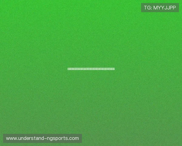 海登海姆俱乐部近期动态汇总新赛季引援战术调整与成绩前景全面解析